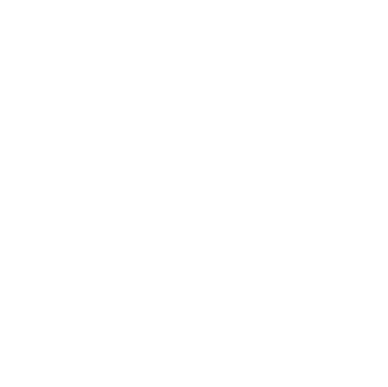 Logo EVERESST